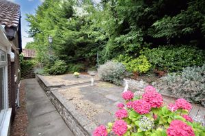 Rear garden- click for photo gallery